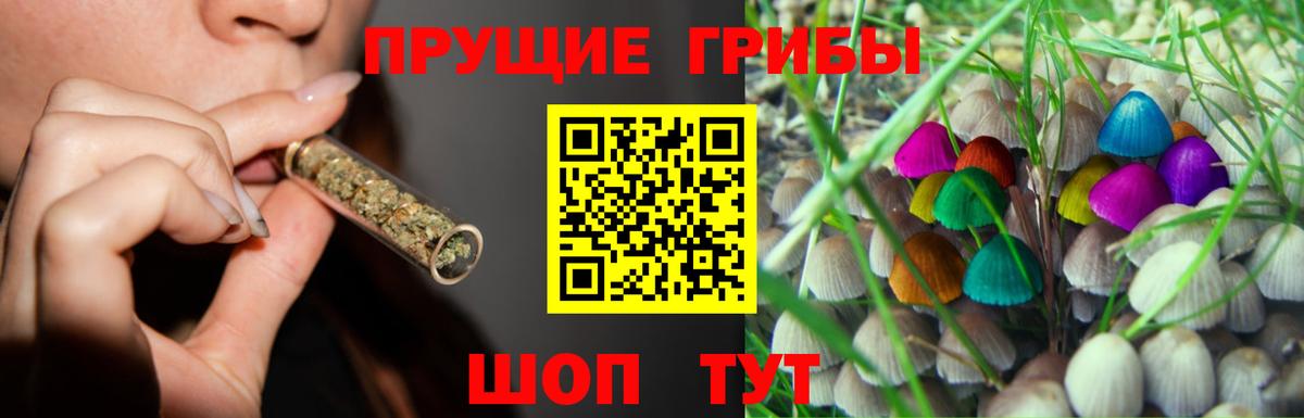 Галлюциногенные грибы MAGIC MUSHROOMS Новоалександровск